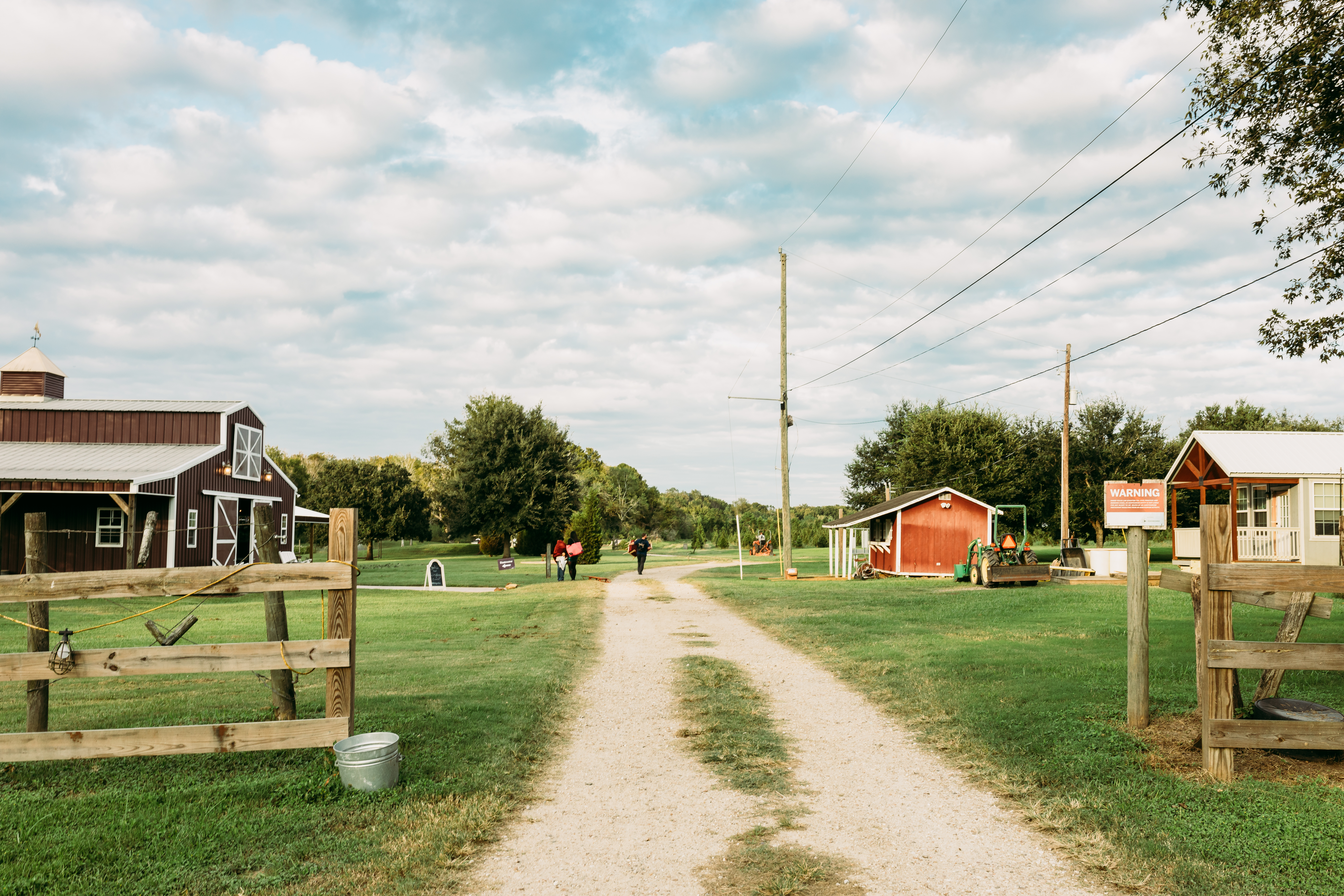 tree farm